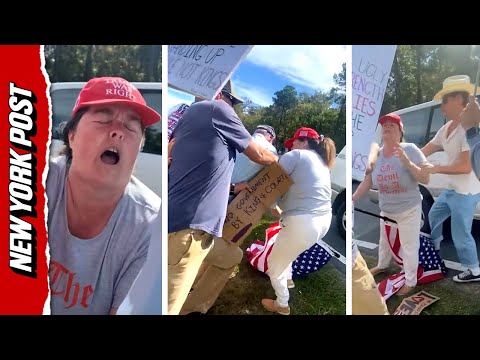 Wild Moment Woman Tries to Steal Flag from ‘No Kings’ Protesters- And is Charged with Assault