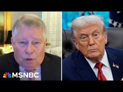 ‘Near-absolute unchecked power’: Trump has the ability to run for a third term, judge warns