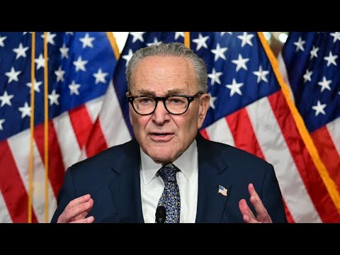Democrats to introduce bill that would fund SNAP, Schumer says