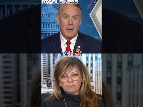 GOP rep warns of CRUMBLING FAA systems under shutdown #shorts