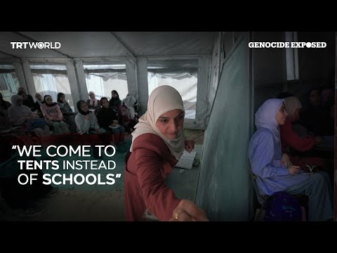 Gaza’s education: a life of learning replaced by survival