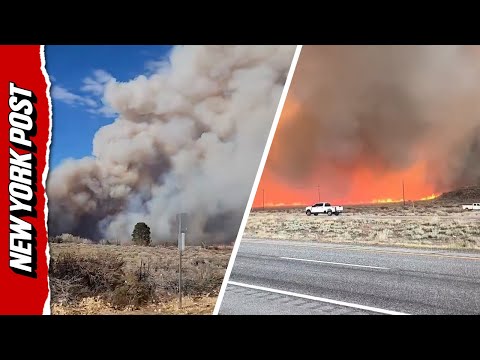 Smoke Billows Into Sky From California’s Pack Fire, Scorching More Than 3,000 Acres
