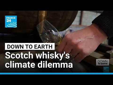 To peat, or not to peat? Scotch whisky’s iconic ingredient at heart of climate concerns