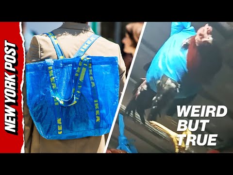 Scary reason chickens are hanging in plastic bags in the Philippines | Weird But True