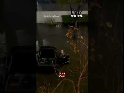 SEE IT: Vietnam vet SAVED from flood by roommates #shorts #us #news #foxnews #viral #veteran #flood