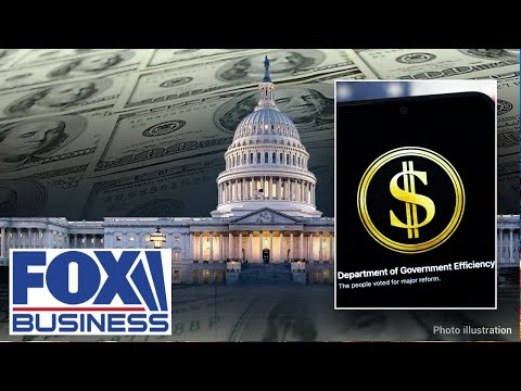 White House addresses DOGE’s reported demise