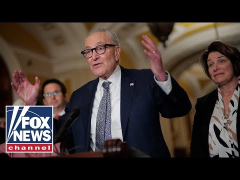 Schumer up against ‘FIGHT CLUB’ of influential Democrats