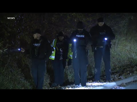 911 calls released in Airbnb house party shooting