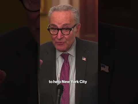 Sen. Chuck Schumer won’t reveal if he voted for Zohran Mamdani #shorts
