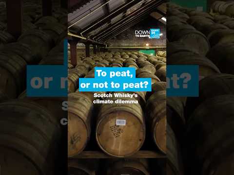 Scotch whisky’s iconic ingredient at heart of climate concerns • FRANCE 24 English