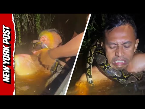 Horrifying Video Shows Python Drag Tour Guide Underwater as it Tightens Its Grip Around His Neck