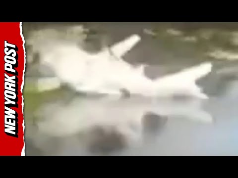 Hurricane Relief Plane Headed For Jamaica Crashes Into Florida Pond