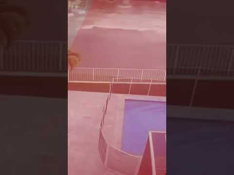 Hurricane relief plane headed for Jamaica crashes into Florida pond #shorts