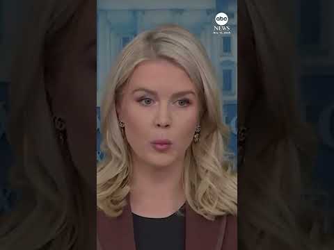 WH press secretary Karoline Leavitt: Epstein emails prove ‘President Trump did nothing wrong’