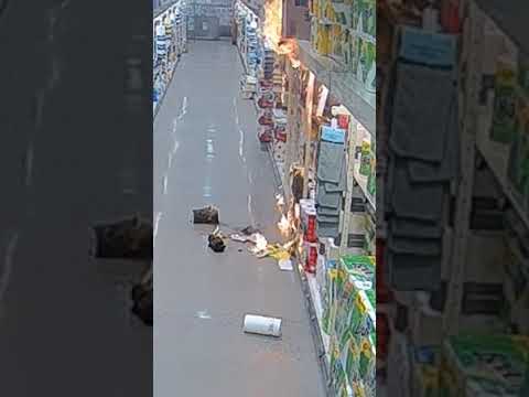 ShopRite employee arrested for setting off store blaze