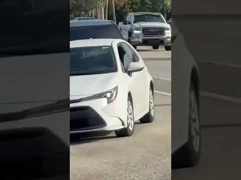 ‘I’m a US Citizen!’: Dramatic Footage Shows Florida Woman Forcibly Pulled From Car #shorts