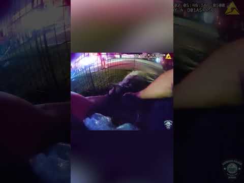 Hero Cop Brings Dog Back to Life After Saving it From House Fire #shorts