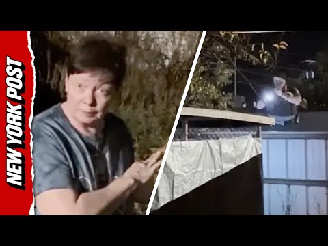 Watch Disturbing Video When Neighbor Finds Woman Locked in Dog Kennel