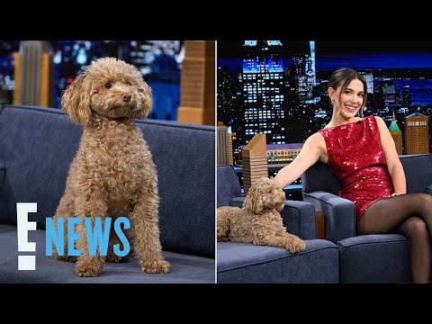 How Millie Bobby Brown’s Dog Reacted to Her, Jake Bongiovi’s Baby | E! News