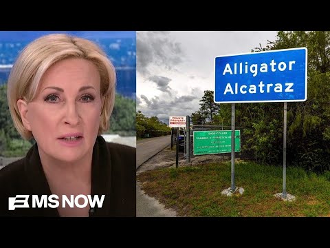 ‘We don’t treat people like animals’: Mika reacts to report on alleged torture at Alligator Alcatraz