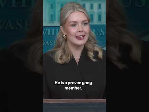 Trump Admin Pushes Back Against Court Order on Kilmar Abrego Garcia Release #shorts