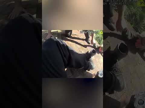 Elderly Florida man rescued by cops after slipping while blowing leaves on roof: video #shorts