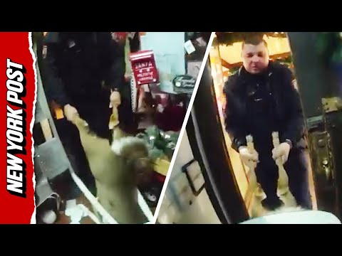 Deer Goes Buck Wild, Breaks into Christmas Shop and Gets Stuck in Chair