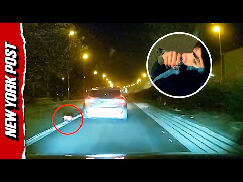 Car Thief Uses Extinguisher on Police During Wild High-Speed Chase