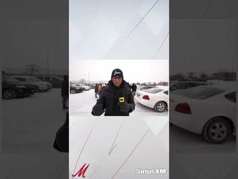 Megyn Kelly on Protestor Who Said Her Goal Was to “Disrupt Business as Usual”… and is Now Arrested