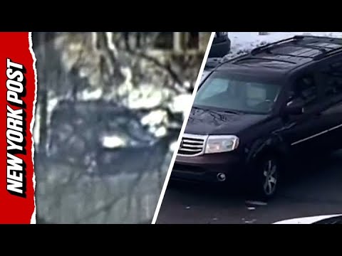 Renee Nicole Good Seen Blaring Her Horn as She Blocks ICE Agents Before Fatal Minneapolis Shooting