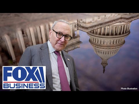 ‘SCHUMER POSITION’: This is not going to work for Americans long-term, lawmaker says