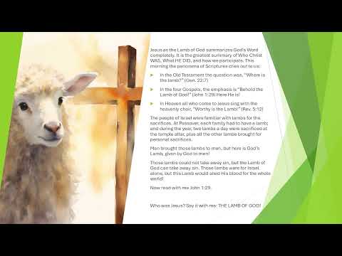 THE ONLY LAMB THAT TAKES SIN FOREVER AWAY–Jesus Is Prefigured In The Old Testament