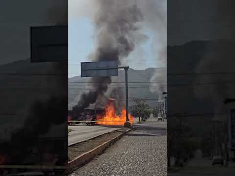 City in Flames: Puerto Vallarta Erupts After Cartel Kingpin ‘El Mencho’ Killed #shorts