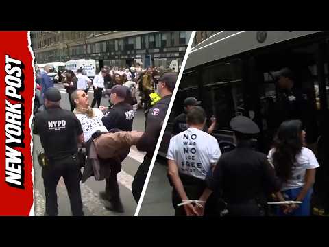 300 Protesters Stage Sit-In, NYPD Makes Mass Arrests Outside NY Senators’ Offices