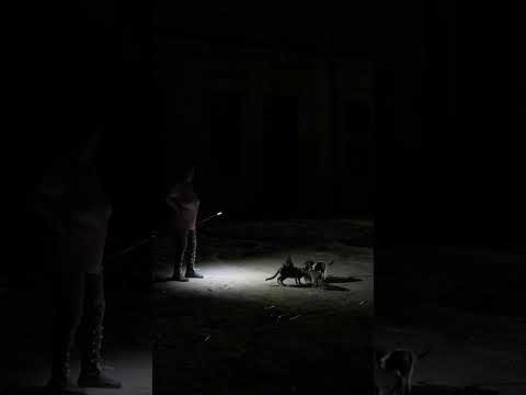 Massive Cuba blackouts hit as Raul Castro indictment shakes regime #shorts