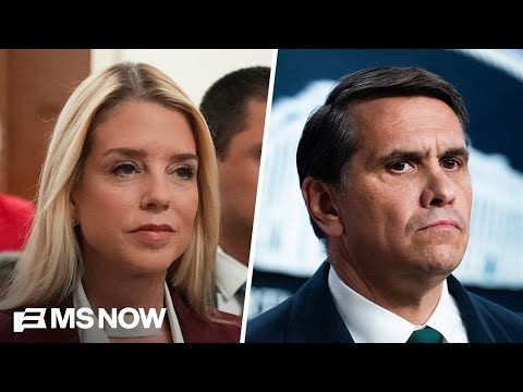 Bondi: I delegated Epstein files oversight process to Todd Blanche