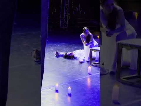 Ginger Cat Upstages Human Performers During Key Romeo & Juliet Scene #shorts