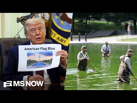 Trump’s Big Beautiful Pool is turning into a swamp