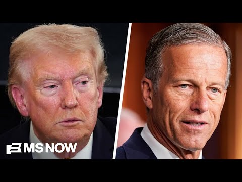 ‘The tensions have been unmistakable’: ‘Awkward’ divide grows between Trump and Thune