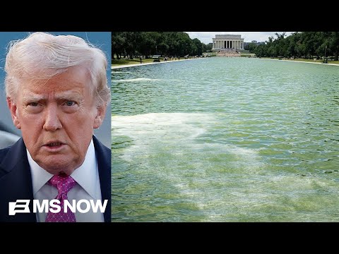 Reflecting pool controversy ’emblematic’ of Trump admin’s ‘narcissism and arrogance’: Stein