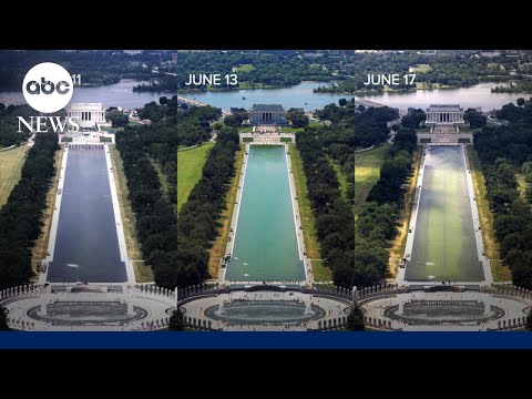 Reflecting pool controversy grows amid algae and cost concerns