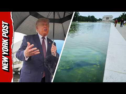 Trump: ‘Someone Went In With a Knife’ and Cut Up Reflecting Pool Paint