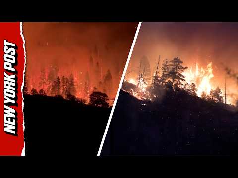 Massive Colorado Wildfire Sends Flames Racing Through Trees