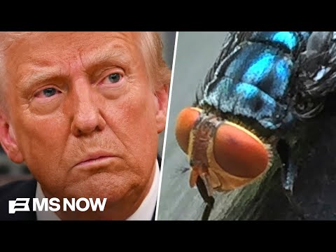 How Trump screwed up on screwworms