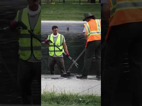 Work Continues on Historic Reflecting Pool for America’s 250th #shorts