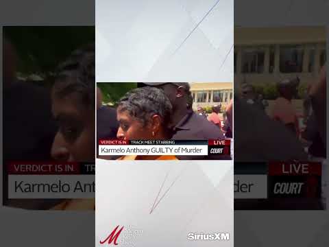 Megyn Reacts to Lawyer Arguing Karmelo Anthony Verdict is Wrong Because He Only Stabbed Metcalf Once