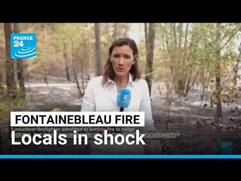 Shock and solidarity after wildfires ravage Fontainebleau • FRANCE 24 English
