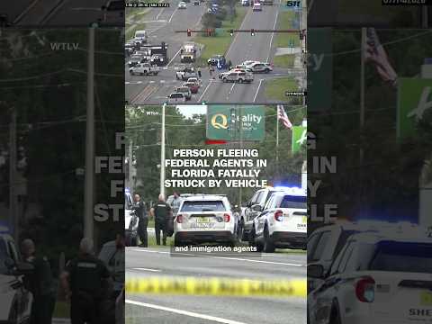 Person fleeing federal agents in Florida fatally struck by vehicle