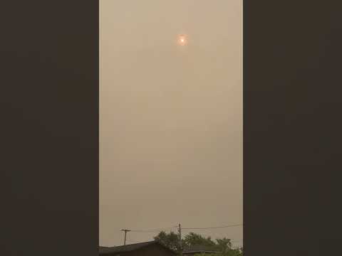 Sweltering NYC hit by Canadian wildfire smoke — and it may only get hazier #shorts