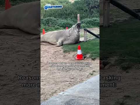 Everyone Needs A Neil In Their Life #hilarious #australia #funny #viral
